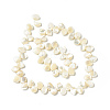 Natural Trochid Shell/Trochus Shell Beads Strands SHEL-F004-09-2