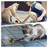 CHGCRAFT Pet Cat Toys Supplies Kit AJEW-CA0002-01-6
