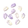 Synthetic Shell Dyed Carved Feather Charms BSHE-H111-02-1