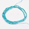 Natural Apatite Bead Strand G-G680-11-2