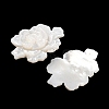 Natural White Shell Carved Cabochons SSHEL-I026-15-2