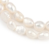 Natural Cultured Freshwater Pearl Beads Strands PEAR-P064-20A-04A-02-4