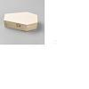 6Pcs Halloween Coffin Shaped Pine Wood Pet Urn Storage Caskets with Alloy Clasps CON-BC0007-97-1