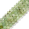 Natural Prehnite Beads Strands G-C171-E03-01-1