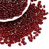 Picasso Spray Painted Glass Seed Beads SEED-T006-04-30-3