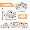 4Pcs 2 Colors Detachable Flower Shoe Decoration AJEW-GO0001-95-2