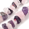 Natural Rose Quartz & Amethyst Beads Strands G-I283-F10-2