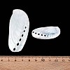 Abalone Shells Ornaments SHEL-T020-54-4