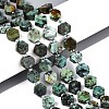 Natural African Turquoise(Jasper) Beads Strands G-P534-A26-02-1