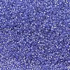 MIYUKI Delica Beads SEED-X0054-DB0243-4