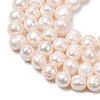 Natural Cultured Freshwater Pearl Beads Strands PA-CBABE82-12B-3