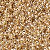 MIYUKI Round Rocailles Beads SEED-G007-RR1003-3