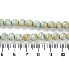 Natural Rainbow Alashan Agate Beads Strands G-NH0022-A-01-6