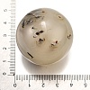 Natural Ocean Jasper Crystal Ball PW-WG29726-01-2