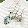 Abalone Shell/Paua Shell Jewelry Sets SJEW-E032-02-1