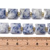Natural Blue Spot Jasper Beads Strands G-F839-A15-01-3