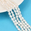 Natural Cultured Freshwater Pearl Beads Strands PEAR-P064-20H-04A-1