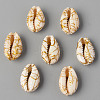 Natural Cowrie Shell Beads X-SSHEL-N0232-08E-1