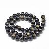 Natural Golden Sheen Obsidian Beads Strands G-R446-12mm-23-2