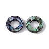 Natural Abalone Shell/Paua Shell Beads SSHEL-M021-06-2