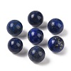 Natural Lapis Lazuli No Hole Sphere Beads G-K353-04C-10-1