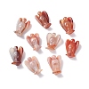 Natural Red Agate Home Display Decorations LS-DJEW-L009A-03-6