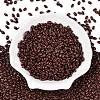 Baking Paint Glass Seed Beads SEED-T006-03V-1