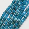 Natural Apatite Beads Strands X-G-D856-01-4mm-1