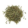 Electroplated Glass Beads GLAA-Q120-02A-05-2