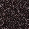 TOHO 11/0 Round Beads SEED-XTR11-0006CF-2