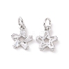 Star Brass Micro Pave Clear Cubic Zirconia Charms KK-G435-43P-1