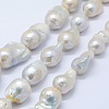 Natural Baroque Pearl Keshi Pearl Beads Strands PEAR-K004-17-1