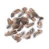 Fashion Feather Costume Accessories X-FIND-R01a-R01a-1