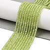 Natural Peridot Beads Strands LS-G-ONLY-T-B07-01-2