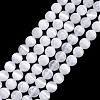 Natural Selenite Beads Strands LS-G-N328-025B-02-1