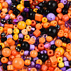 Halloween Theme Glass Seed Beads X-SEED-N007-13J-3