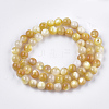 Yellow Shell Beads Strands SHEL-S274-93E-2