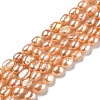 Natural Cultured Freshwater Pearl Beads Strands PEAR-L033-32E-01-1