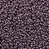 MIYUKI Round Rocailles Beads SEED-X0054-RR1088-3