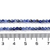 Natural Sodalite Beads Strands X-G-G139-A07-02-5