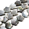 Natural Black Lip Shell Beads Strands SHEL-M021-02B-1