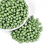 Opaque Colours Glass Seed Beads SEED-N007-34F-1