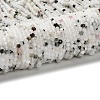 Natural Rainbow Moonstone Beads Strands G-RM2025-A15-3mm-2