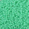 Opaque Acrylic Beads SACR-A007-01B-23-3
