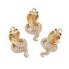 Rack Plating Alloy Rhinestone Pendants RB-L036-VF896-2-3