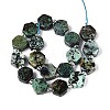 Natural African Turquoise(Jasper) Beads Strands G-P534-A26-02-2