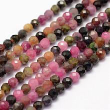 Natural Tourmaline Beads Strands G-F460-31