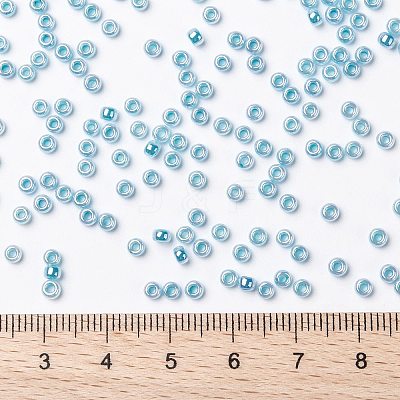 MIYUKI Round Rocailles Beads X-SEED-G008-RR0537-1