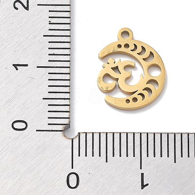 304 Stainless Steel Pendants STAS-R003-03G-02-1