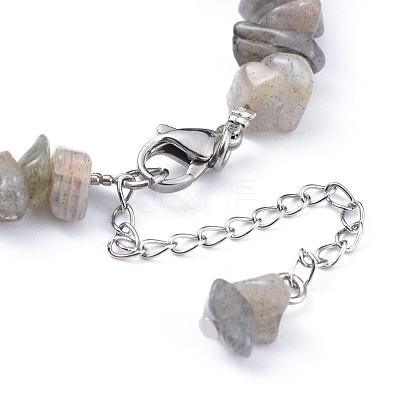 Natural Labradorite Chip Bracelets BJEW-JB04489-03-1